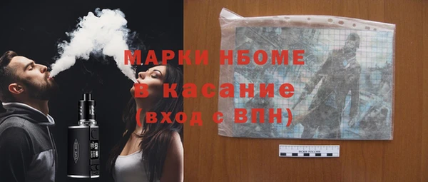 эйфоретик Гусь-Хрустальный