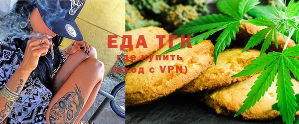 эйфоретик Гусь-Хрустальный
