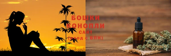 эйфоретик Гусь-Хрустальный
