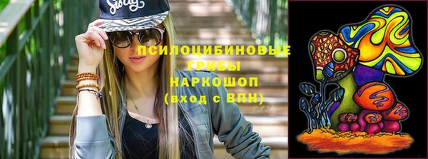 ECSTASY Горняк