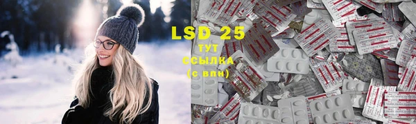 ECSTASY Горняк